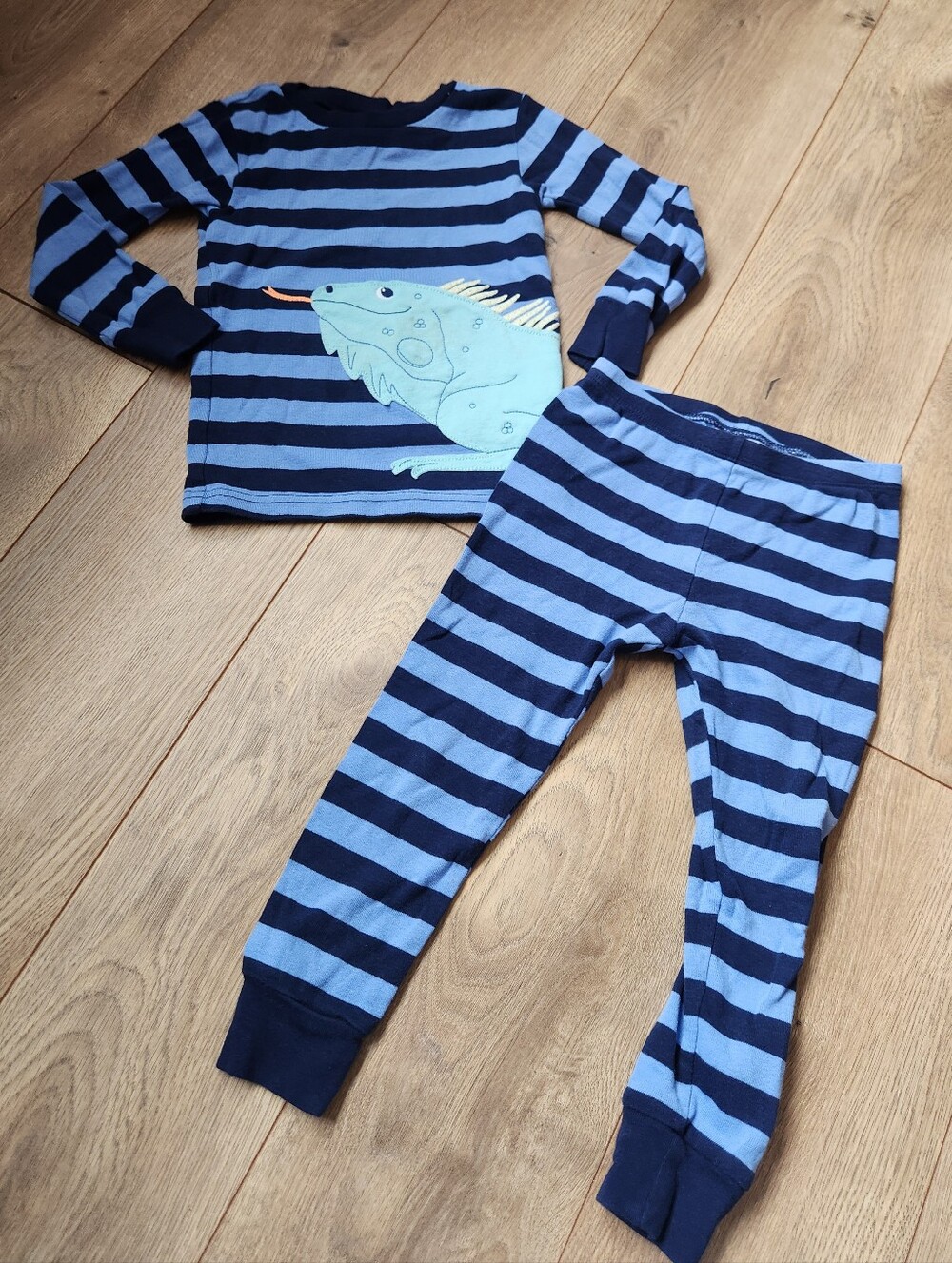 3t Boys Iguana pajama Set